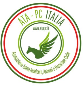 prova logo bandiera